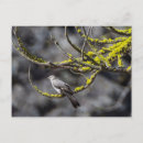 Suche nach schlucken postkarten Natur