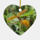 Suche nach libellen ornamente Natur