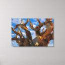 Suche nach jaynes galerie leinwandbilder Kalifornien