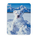 Suche nach pitbull magnete Weihnachten