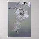 Suche nach makro poster Sanft