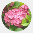Suche nach hortensie aufkleber Elegant