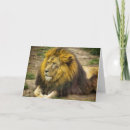 Suche nach zoo karten Löwe