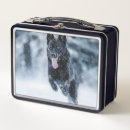 Suche nach schnee brotdosen Hund