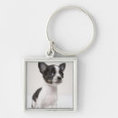 Suche nach stehend schlüsselanhänger Natur