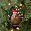 Suche nach capybara ornamente Santa