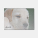 Suche nach diy poster Instagram