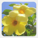 Suche nach trompeten aufkleber Blume