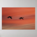 Suche nach bird silhouette poster Flying