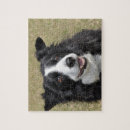 Suche nach border collie puzzle Kaninchen