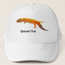 Suche nach eidechsen kappen Geckos