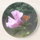 Suche nach monarchfalter untersetzer Blume