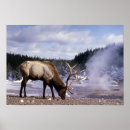 Suche nach feriengeschenke poster Winter