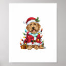 Suche nach labradoodles poster Hundefreund