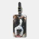 Suche nach bernhardiner accessoires St bernards