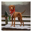 Suche nach vizsla hund poster Weihnachtsgeschenk für hunde