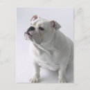 Suche nach langeweile poster Sitzen