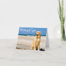 Suche nach golden retriever karten Freundschaft