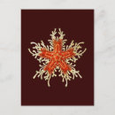 Suche nach haeckels postkarten Vintag