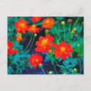 Suche nach vibrierend karten Blume
