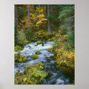Suche nach pacific northwest poster Forest