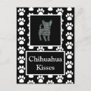 Suche nach niedlicher chihuahua postkarten Hundefreund