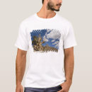Suche nach bristlecone kiefer Alt