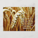 Suche nach parabel postkarten Christentum