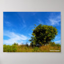 Suche nach obstbaum poster Frucht