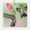 Suche nach kolibris ornamente Colibri