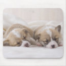 Suche nach stift mousepads Tier