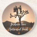Suche nach joshua baum untersetzer Landschaft