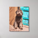 Suche nach fell leinwandbilder Freundschaft