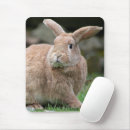 Suche nach osterhase mousepads Urlaub