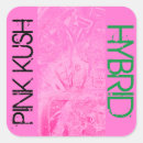 Suche nach hybrider aufkleber Rosa
