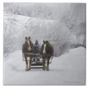 Suche nach genuss fliesen Betrachten der kamera