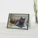 Suche nach graue katzen karten Friend