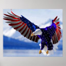 Suche nach amerikanischer adler poster Usa