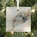 Suche nach schwan ornamente Wasservogel