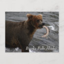 Suche nach brooks postkarten Katmai nationalpark