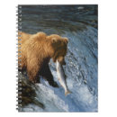 Suche nach braunbär kleine notizbücher Wildtiere