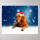 Suche nach niedlicher goldener retriever poster Weihnachten