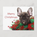 Suche nach french bulldog postkarten Photography