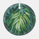 Suche nach tropen ornamente Blätter