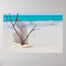 Suche nach strand muscheln poster Wellen