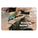 Suche nach lizard magnete Reptil