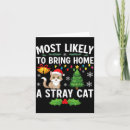 Suche nach streunende katze Bringen