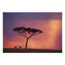 Suche nach naturreservat poster Kenia
