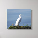 Suche nach helder kunst Für sie