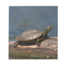 Suche nach schildkröte notizblock Reptilien
